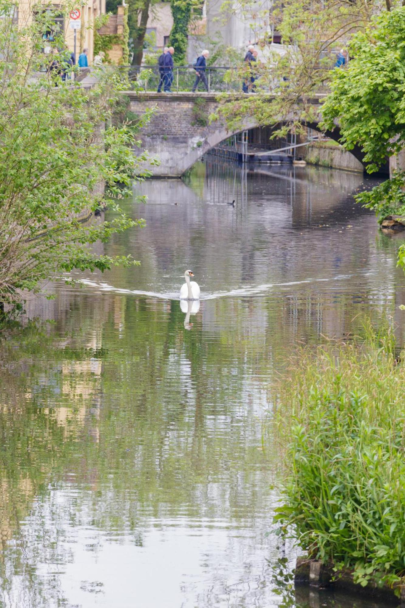 Le Nid Du Prince Brugge Bagian luar foto